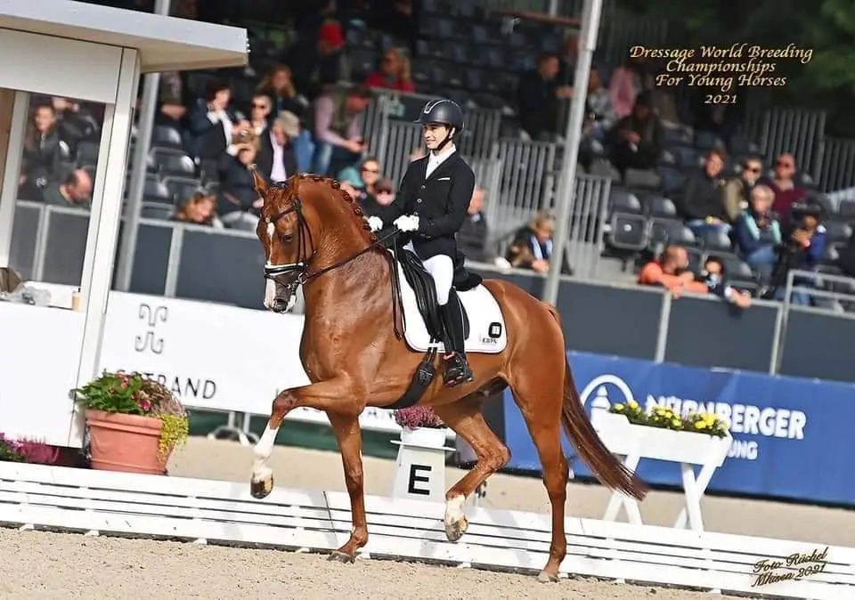 WK Jonge Paarden 2021