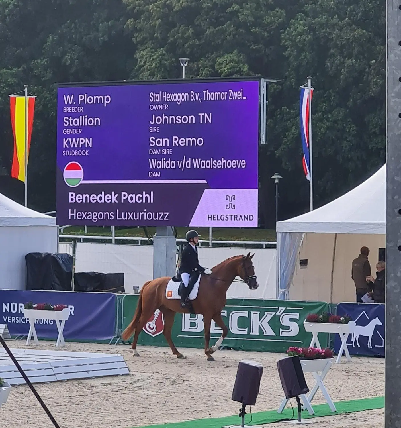 WK Jonge Paarden 2021 & 2022 & 2023 / Winnaar Subli Cup 2022